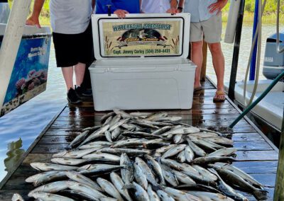 Waterfowl Specialist Guide Service Fishing