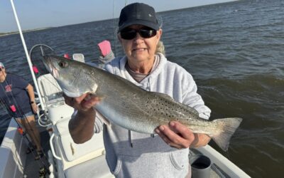 Weakfish vs Speckled Trout