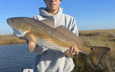 Best Time to Catch Redfish in Louisiana (A Local Guide’s Month-by-Month Breakdown)
