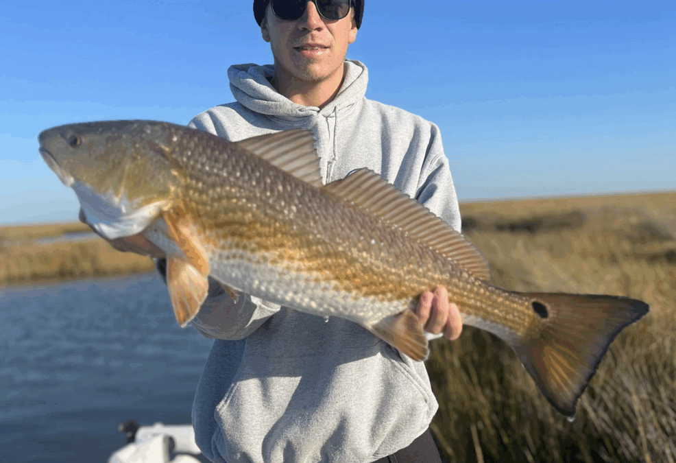 Best Time to Catch Redfish in Louisiana (A Local Guide’s Month-by-Month Breakdown)