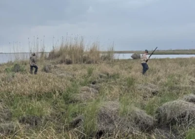 Hunter walking through Louisiana marsh grass during an early morning guided nutria hunting excursion