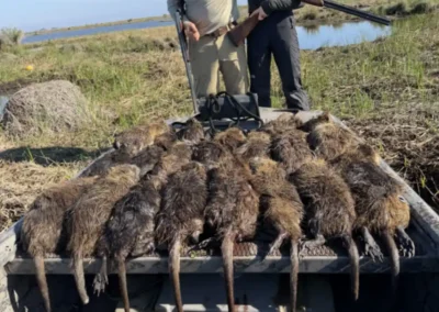 Hunters posing with a large nutria harvest after a successful guided Louisiana marsh hunting trip