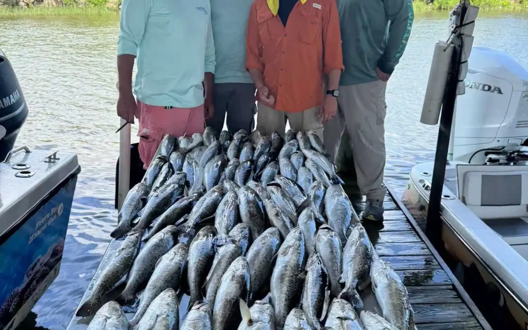 New Orleans Mid-Summer Fishing Report for 2026